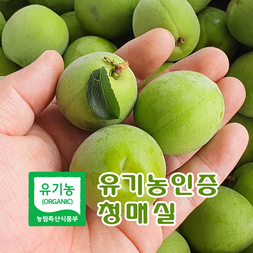 [왕~왕왕특품] 유기농인증 광양 다압 청매실 10KG