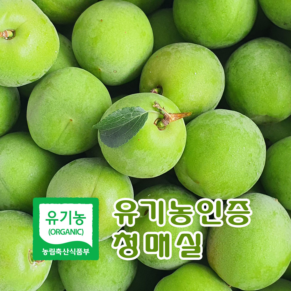[특품] 유기농인증 광양 다압 청매실 20KG