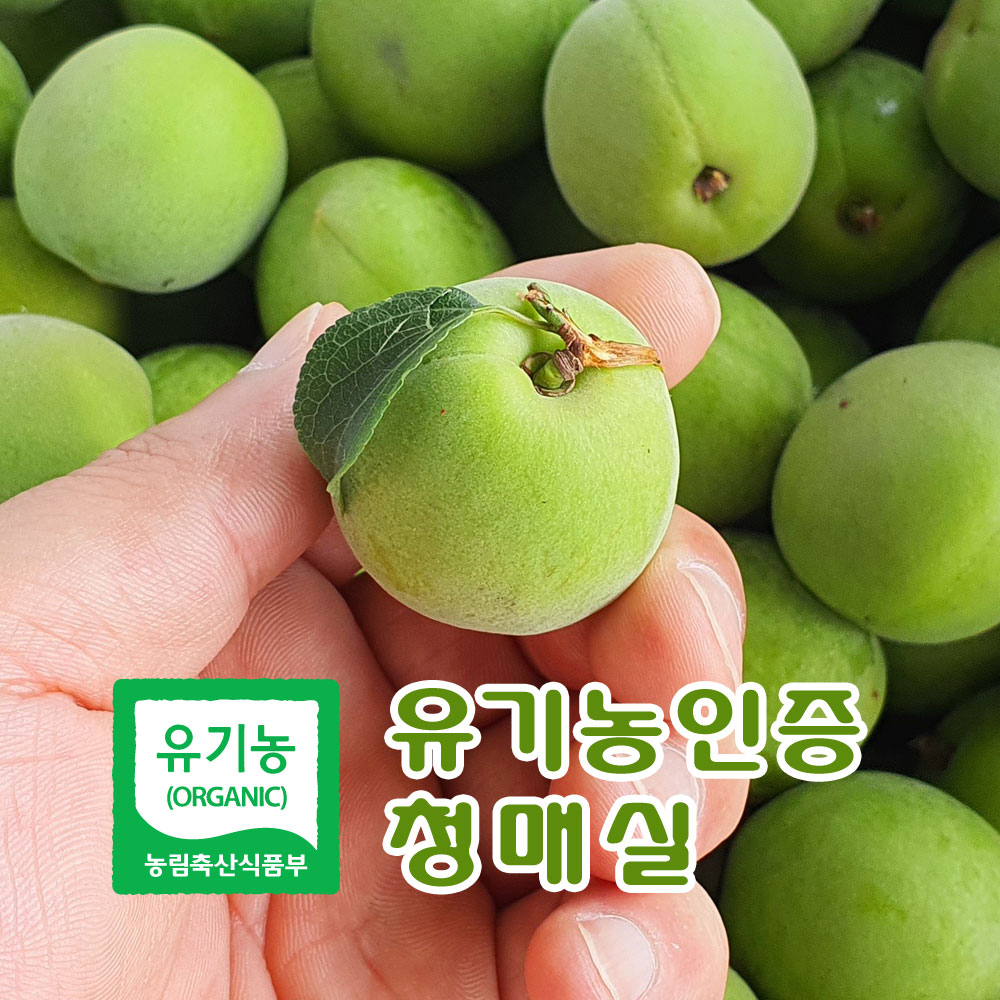 [대품] 유기농인증 광양 다압 청매실 10KG
