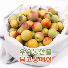 [왕품] 광양 다압 남고 홍매실 5KG