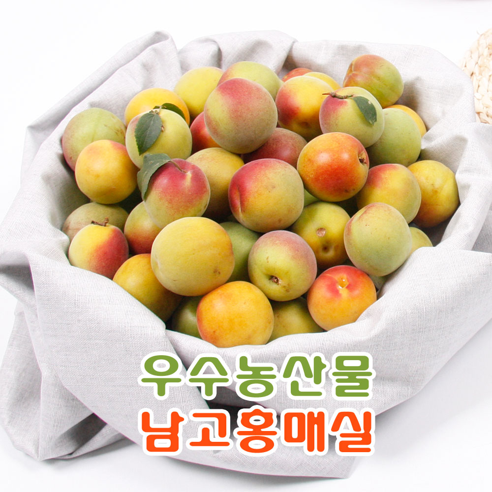 [왕품] 광양 다압 남고 홍매실 20KG