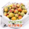 [왕품] 광양 다압 남고 홍매실 20KG